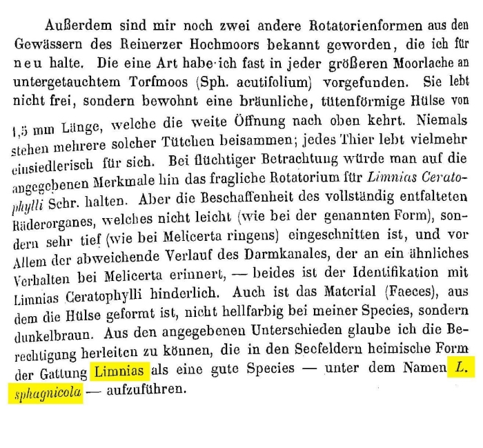 Limnias sphagnicola - Original description image