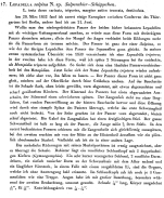 Lophocharis salpina - Original description image