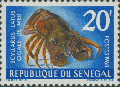 Crustacea (crustaceans)