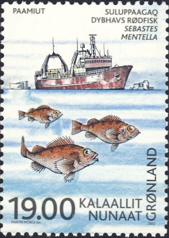 Sebastes mentella Sebastes mentella
