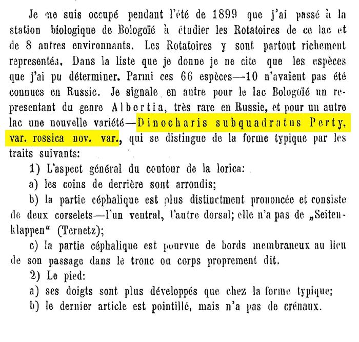 Macrochaetus subquadratus var. rossicus - Original description image