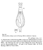 Macrotrachela ambigua - Original description image