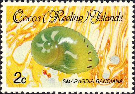 Smaragdia rangiana Smaragdia rangiana