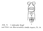 Macrotrachela timida inquies