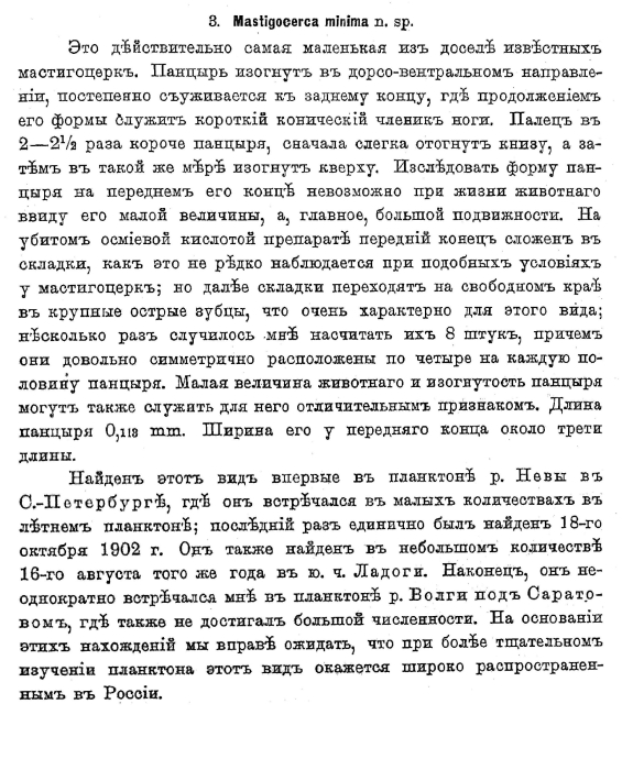 Mastigocerca minima - Original description image