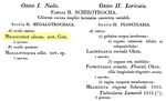 Microcodon clavus