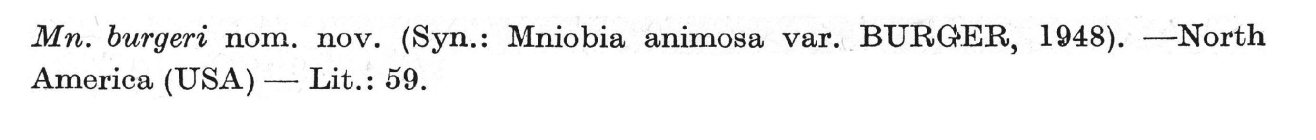 Mniobia burgeri