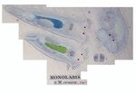Monolabis conica