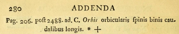 Monommata orbis - Original description image