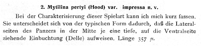 Mytilina pertyi var. impressa