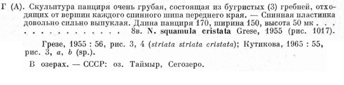 Notholca squamula cristata - Original description image