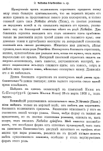 Notholca triarthroides - Original description image