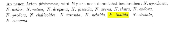 Notommata inalida - Original description image