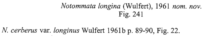 Notommata longina - Original description image