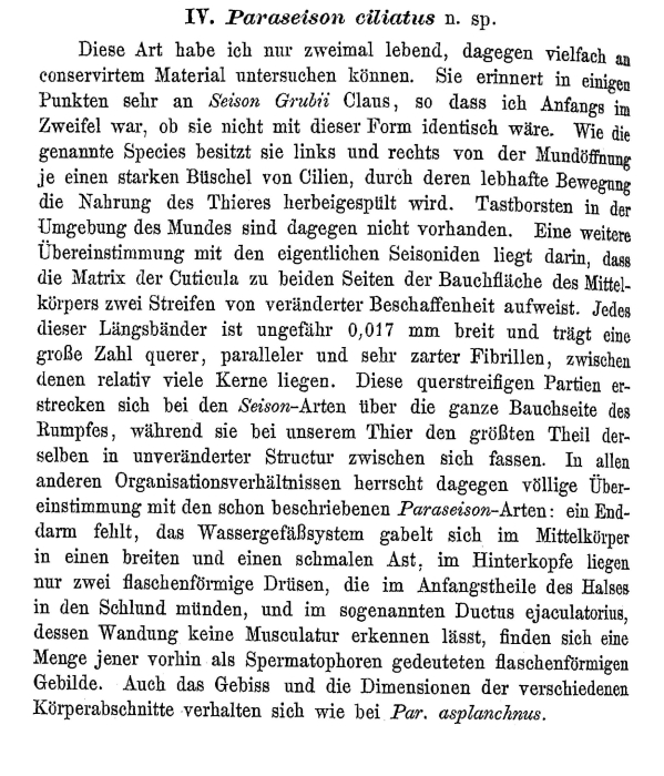 Paraseison ciliatus - Original description image