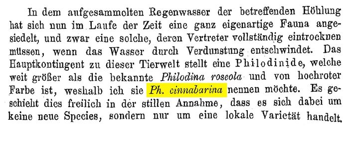 Philodina cinnabarina - Original description image