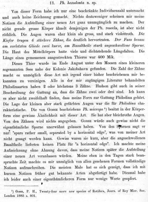 Philodina hexodonta - Original description image