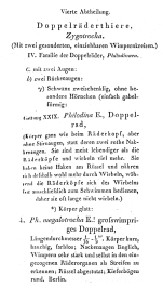 Philodina megalotrocha - Original description image