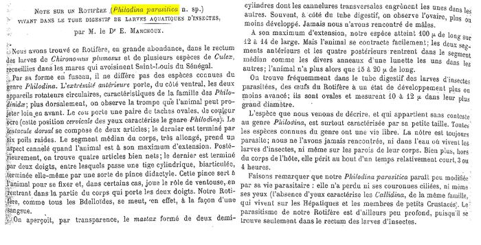 Philodina parasitica - Original description image