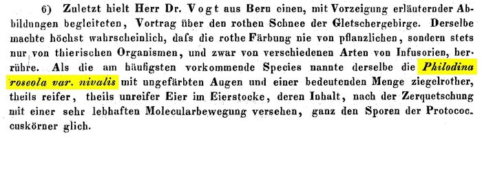 Philodina roseola var. nivalis - Original description image