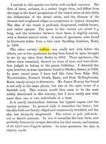 Philodina rugosa callosa - Original description image