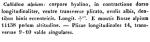 Pleuretra alpium
