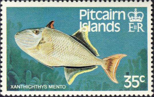 Xanthichthys mento