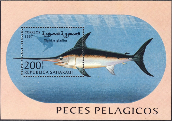Xiphias gladius Xiphias gladius