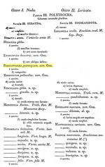 Pleurotrocha petromyzon - Original description image