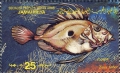 Pisces (fish)