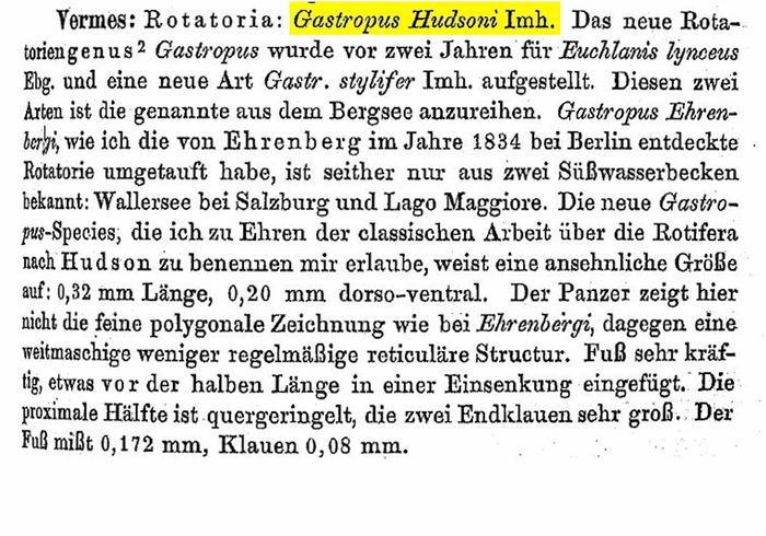 Ploesoma hudsoni - Original description image