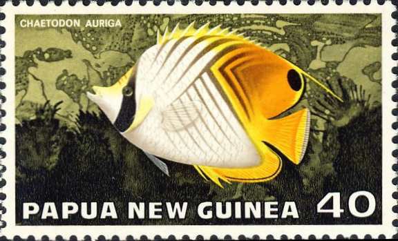 Chaetodon auriga Chaetodon auriga