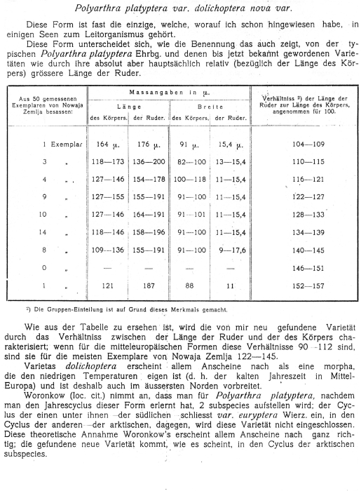 Polyarthra dolichoptera - Original description image
