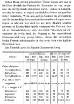 Polyarthra major - Original description image