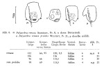 Polyarthra remata