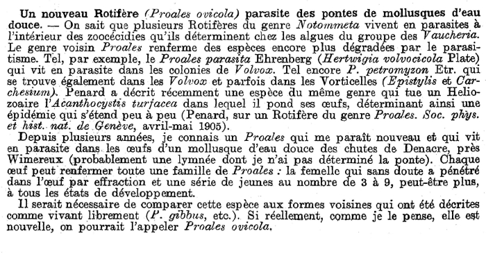 Proales ovicola - Original description image