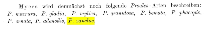 Proales zanclus