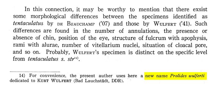 Proalides wulferti - Original description image