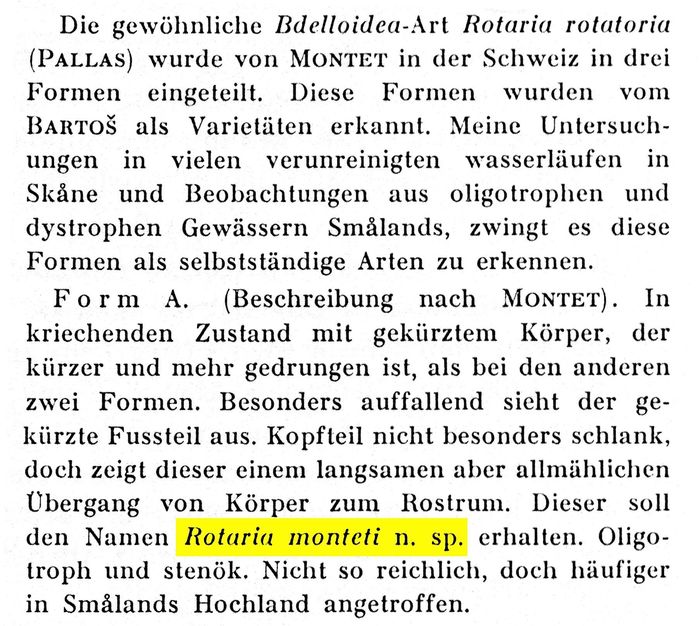 Rotaria monteti - Original description image