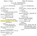 Rotaria neptunia