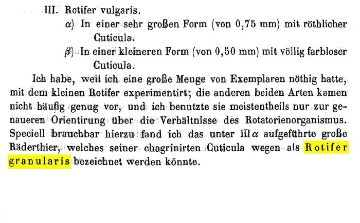 Rotaria rotatoria granularis - Original description image