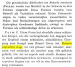 Rotaria saprobica - Original description image