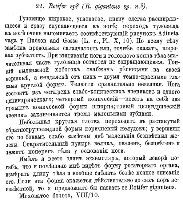 Rotifer giganteus - Original description image