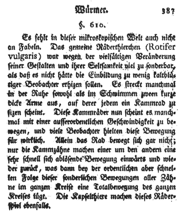 Rotifer vulgaris - Original description image