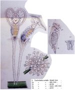 Sinantherina socialis