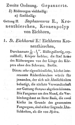 Stephanoceros eichhornii - Original description image