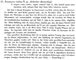 Synchaeta baltica