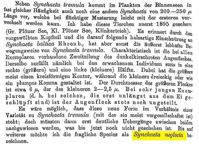 Synchaeta neglecta - Original description image