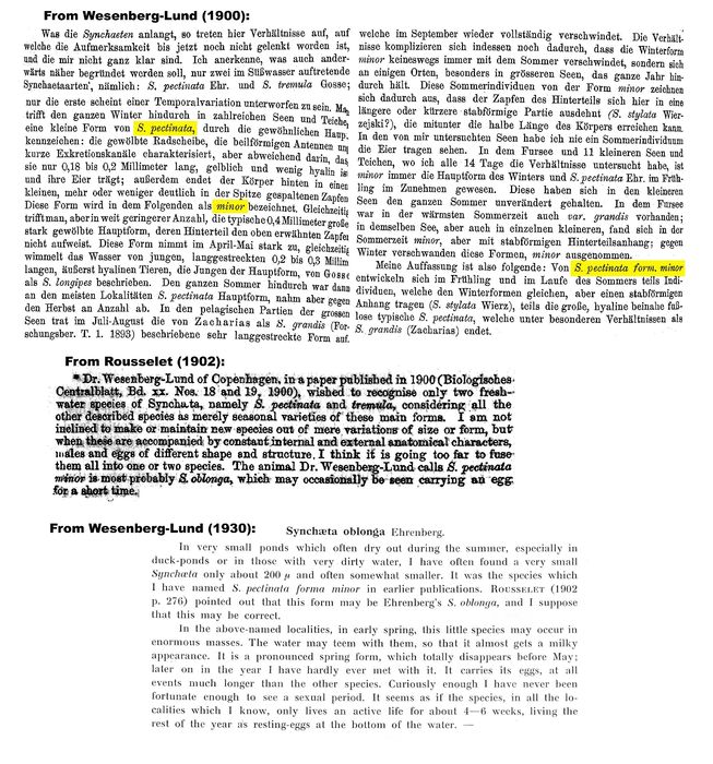Synchaeta pectinata f. minor - Original description image