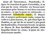 Testudinella argula